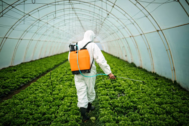 Best Local Pest Control Services  in Frackville, PA