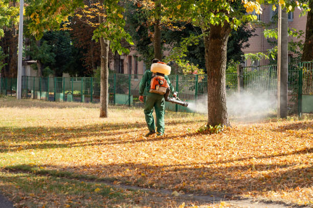 Best Emergency Pest Control  in Frackville, PA