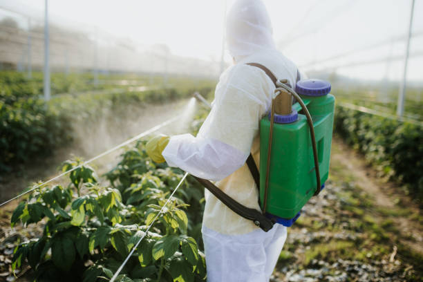 Professional Pest Control in Frackville, PA